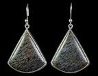 Blue Agatized Dinosaur Bone (Gembone) Earrings & Pendant Set #69973-3